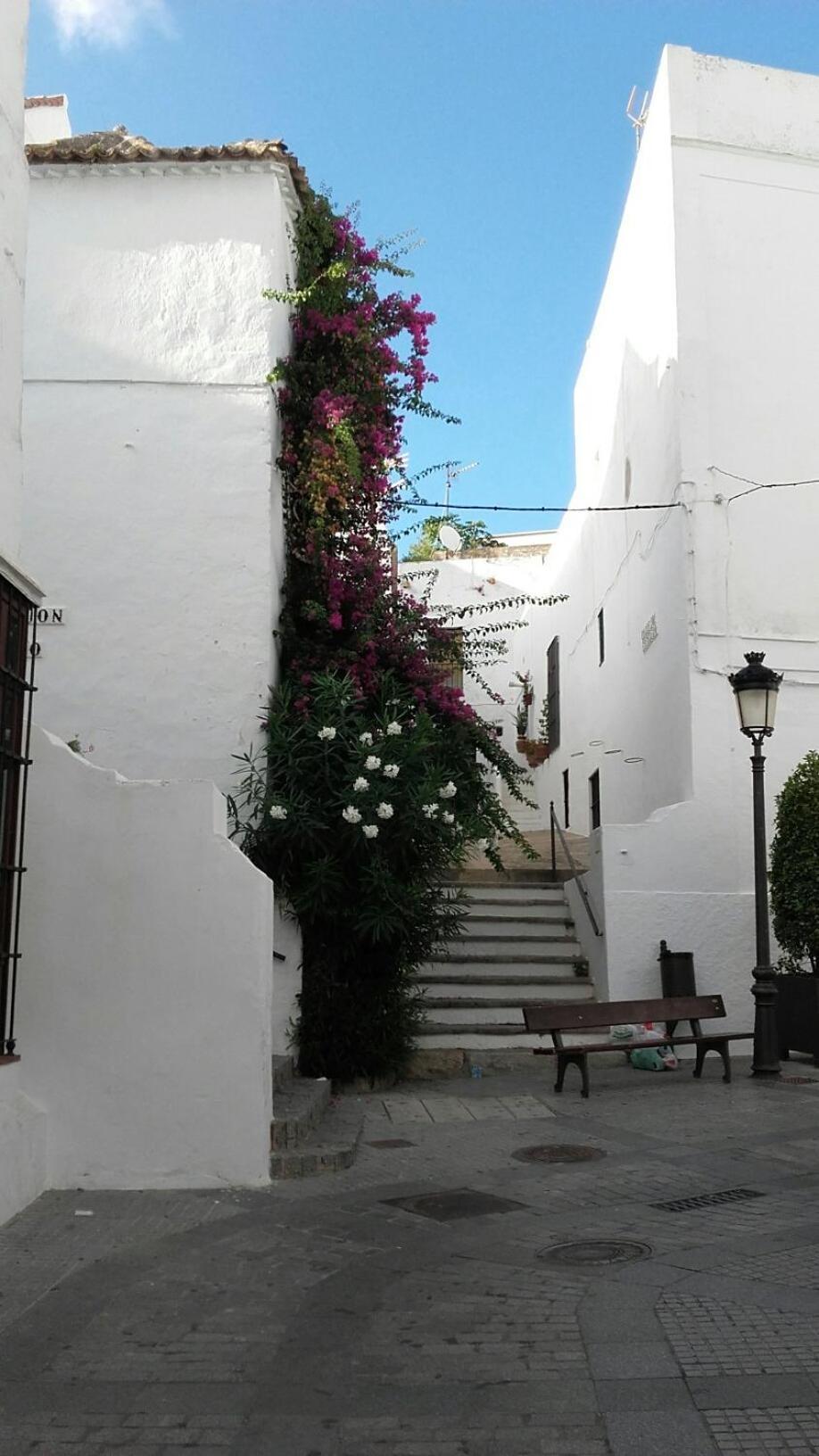 Casa Calle Alta Maria Bajo Vejer de la Frontera Exterior photo